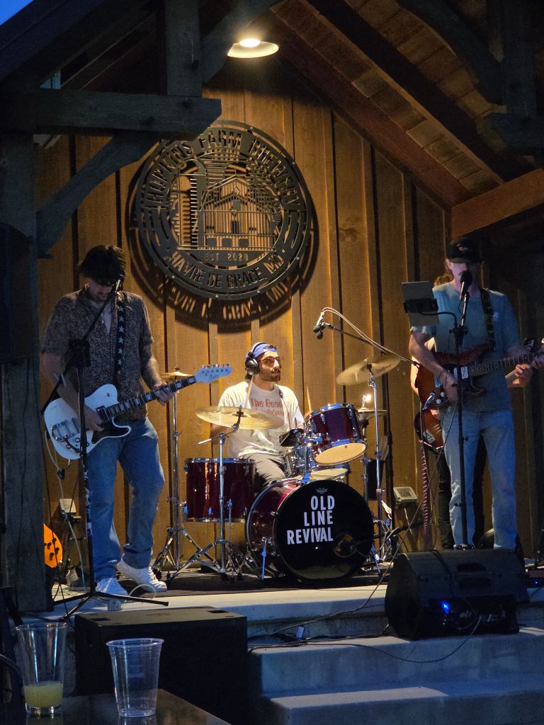 OLR performing under the lights at Hopkins Farm Brewery